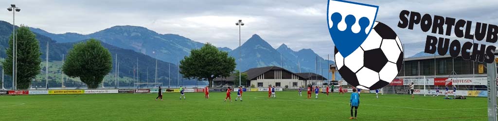 Sportplatz Seefeld